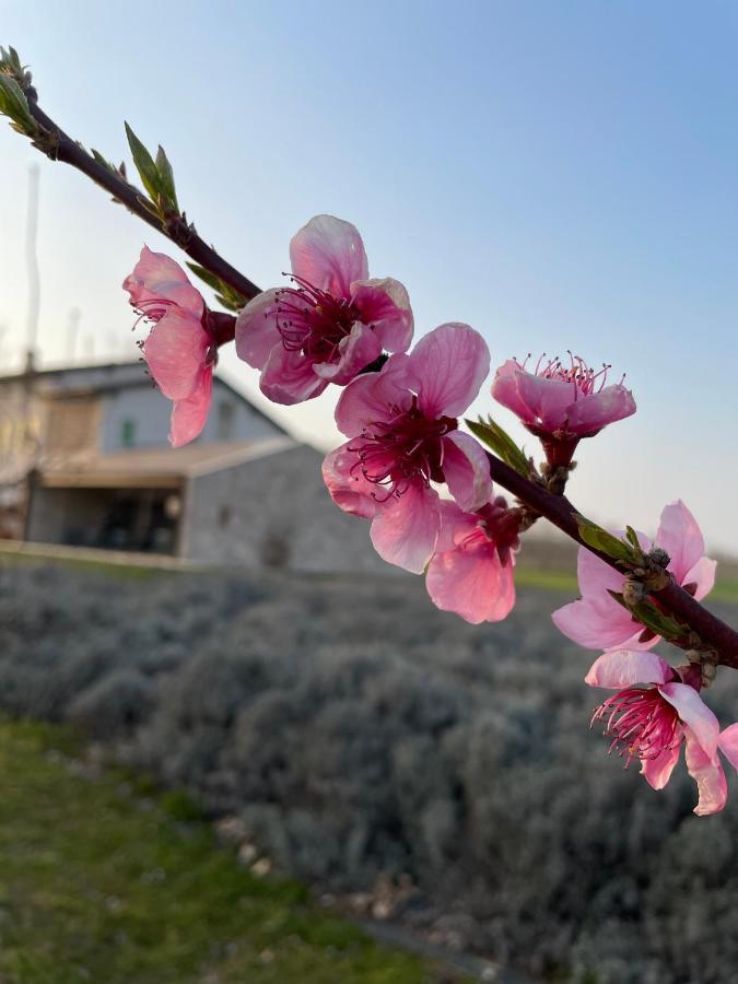 Redó Alloggio per agriturismo *
