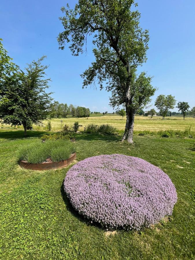 Alloggio per agriturismo Redó Ponti sul Mincio