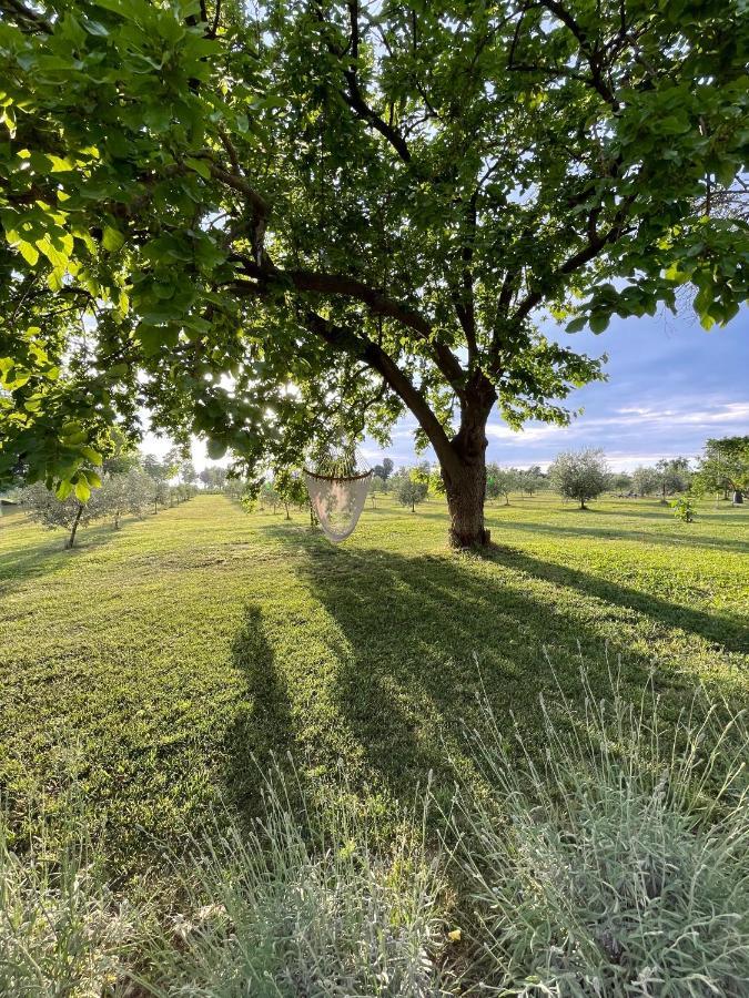 Alloggio per agriturismo Redó Ponti sul Mincio